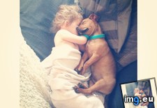 Tags: jack, mad, meet, mollie, puggle, pup, thought, toddler (Pict. in My r/AWW favs)