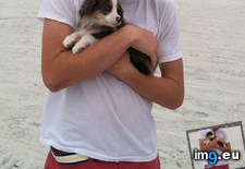 Tags: beach, guy, lil (Pict. in My r/AWW favs)