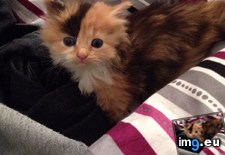 Tags: guy (Pict. in My r/AWW favs)