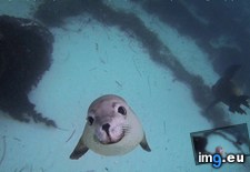 Tags: good, morning (GIF in My r/AWW favs)