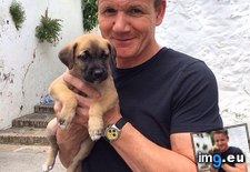 Tags: facebook, girlfriend, gordon, posted, ramsay, spanish (Pict. in My r/AWW favs)