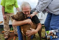 Tags: alabama, coco, cook, destroyed, dog, finding, greg, hugs, tornado (Pict. in My r/AWW favs)