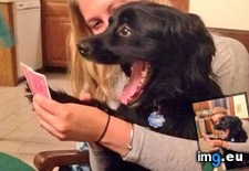 Tags: face, poker, work (Pict. in My r/AWW favs)