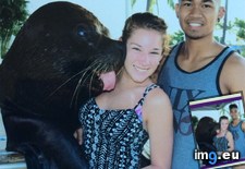 Tags: big, charming, kissed, one, pretty, sealion, typical (Pict. in My r/AWW favs)