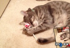 Tags: friend, new, she (Pict. in My r/AWW favs)