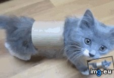 Tags: mistake, terrible (GIF in My r/AWW favs)