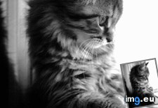 Tags: out (Pict. in My r/AWW favs)