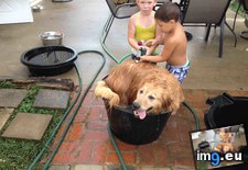 Tags: sit, water (Pict. in My r/AWW favs)