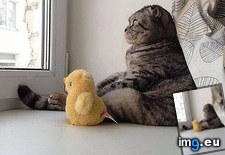 Tags: big, ducky, world (Pict. in My r/AWW favs)