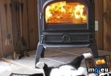 Tags: butt, warming (Pict. in My r/AWW favs)