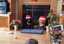Tags: break, cat, house, improvised, losing, parents, xmas (Pict. in My r/AWW favs)