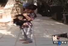 Tags: baby, chimpanzee, form, hyena, kid, protecting (GIF in My r/AWW favs)