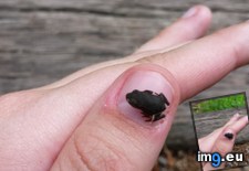 Tags: hike (Pict. in My r/AWW favs)