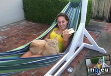 Tags: anniversary, cat, enjoys, hammock, hanger (Pict. in My r/AWW favs)