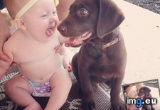 Tags: baby, friend, met, puppy (Pict. in My r/AWW favs)