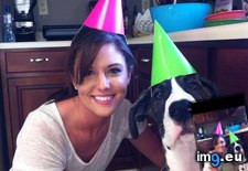 Tags: birthday, brutus, dane, great, hat (Pict. in My r/AWW favs)