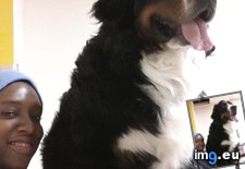 Tags: guy (Pict. in My r/AWW favs)