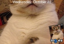 Tags: day, lock, minutes, purrfect, screen, two (Pict. in My r/AWW favs)