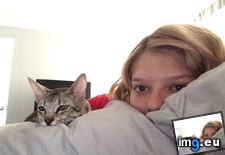 Tags: kitten, nature, shows, watch, wife (Pict. in My r/AWW favs)