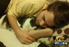 Tags: asleep, cat, falls, finds, husband, matter, naps (Pict. in My r/AWW favs)