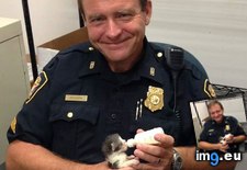 Tags: care, fort, johnson, kittens, motherless, officer, officers, rescued, worth (Pict. in My r/AWW favs)
