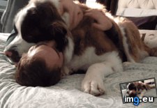 Tags: leave (GIF in My r/AWW favs)