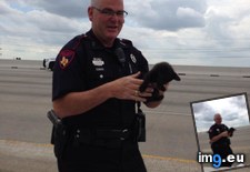 Tags: highway, kitten, officer, police, save, stopped, traffic (Pict. in My r/AWW favs)