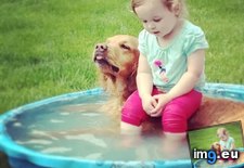 Tags: party, pool (Pict. in My r/AWW favs)