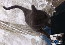 Tags: brushing, guy, ran, rolling, school, snow, way (Pict. in My r/AWW favs)