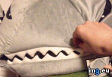 Tags: monster, scary (GIF in My r/AWW favs)
