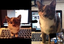 Tags: changed, months (Pict. in My r/AWW favs)