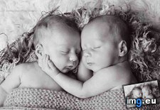 Tags: animal, are, boys, but, full, heart, melts, twin (Pict. in My r/AWW favs)