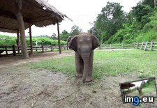 Tags: butt, excited, super (GIF in My r/AWW favs)