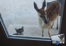 Tags: big, let, out, weird (Pict. in My r/AWW favs)
