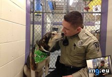 Tags: animal, control, dog, goodbye, officer, saved (Pict. in My r/AWW favs)