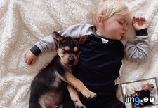 Tags: day, nap, puppy, takes, toddler (Pict. in My r/AWW favs)