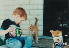 Tags: gingers, sprite (Pict. in My r/AWW favs)