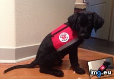 Tags: new, service, uniform (Pict. in My r/AWW favs)