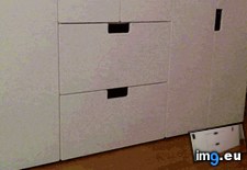 Tags: dispenser, kitten, one, purchase (GIF in My r/AWW favs)