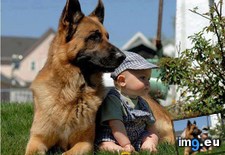 Tags: kids, pets (Pict. in My r/AWW favs)