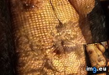 Ay56Q1H (#Boobs #Amateur #Ass #Milf #Sexygirls #Butt #Sexyass #Sexybabes #Amateurs #Hotties #Hotass #Pthc #Pinkpussy #Girlass #Smallpussy #Smallass #Wilders #Nicegirls #Rando) - 81 KB Tags: amateur, amateurs, ass, bestpussy, boobs, busty, butt, fuckyeah, girlass, girlsass, hotass, hotbabes, hotboobs, hotgirls, hotties, hottits, milf, nicegirls, pinkpussy, pthc, rando, sexyass, sexybabes, sexybutt, sexygirls, smallass, smallpussy, upskirt, wilders (Pict. in Rando-Wilders)