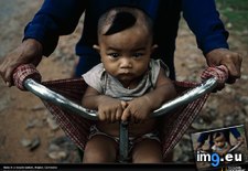 Tags: baby, basket, cambodia (Pict. in National Geographic Photo Of The Day 2001-2009)