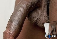 Tags: image (Pict. in Big Dicks)