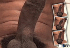 bdsmlr-200633-PCfsGBGQHY (#Porn #Gif #Animated #Perverted #Strapon #Bdsmlr #Hugedildo) - 1.1 MB Tags: anal, animated, bdsmlr, bigcock, fetish, gif, hugedildo, perverted, porn, strapon (GIF in BDSMLR)