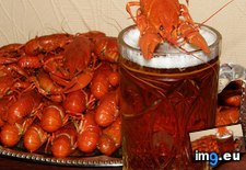 Tags: 1366x768, beer, crabs, wallpaper (Pict. in Food and Drinks Wallpapers 1366x768)