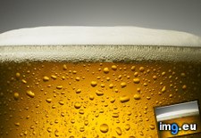 Tags: beer (Pict. in Beautiful photos and wallpapers)
