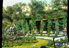 Tags: animal, berlin, garden, park, rose, tiergarten (Pict. in Branson DeCou Stock Images)