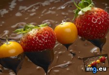 Tags: 1366x768, berries, chocolate, wallpaper (Pict. in Food and Drinks Wallpapers 1366x768)