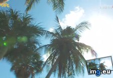 bikini-babes-4 (#Babes #Bikini ) - 55 KB Tags: babes, bikini (Pict. in streamshots)