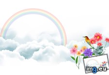 Tags: bird, rainbow, wallpaper, wide (Pict. in Unique HD Wallpapers)